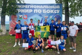 XV межрегиональный турнир по боксу