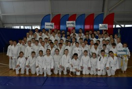 Новогодний турнир по дзюдо